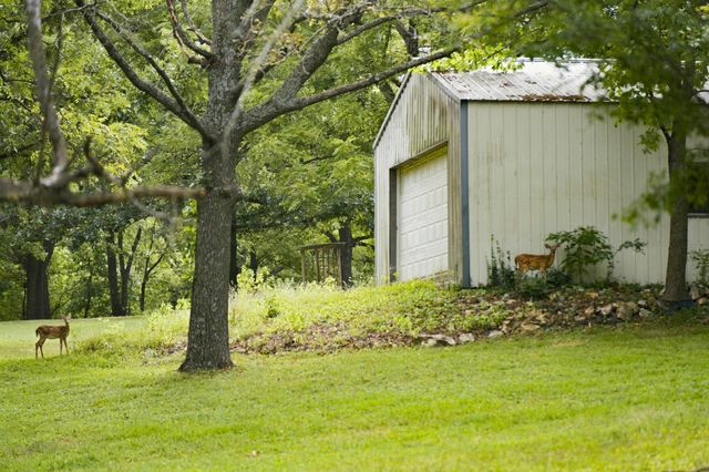 457 Nightcap Drive, Billings, MO 65610