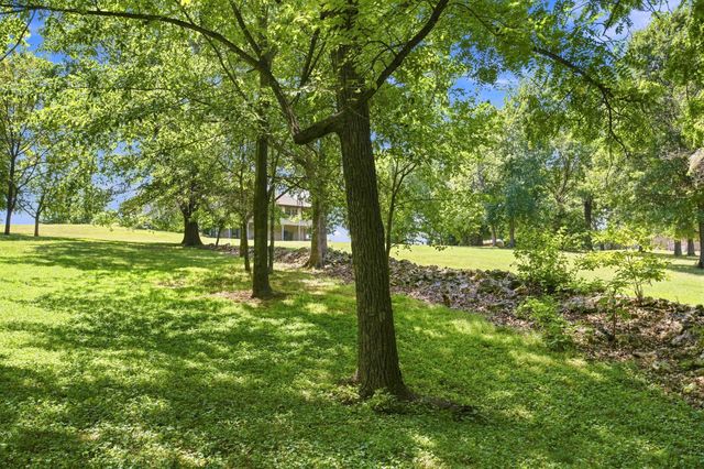 457 Nightcap Drive, Billings, MO 65610