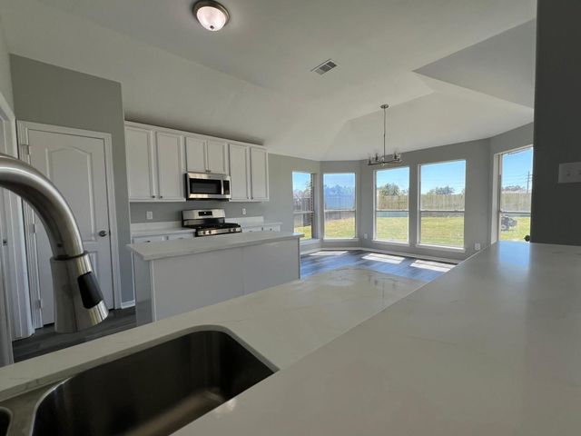 23607 Mesquite Trail Lane, Spring, TX 77373