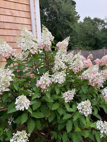 23 Clubhouse Dr, Bourne, MA 02559