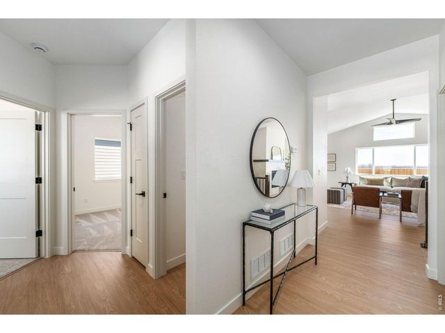 844 Doubleleaf Dr, Windsor, CO 80550