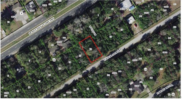 1042 S Locust Way, Inverness, FL 34450