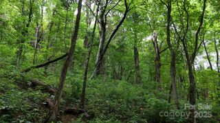 00 Killdevil Hill Lane 9 & 10, Bat Cave, NC 28792