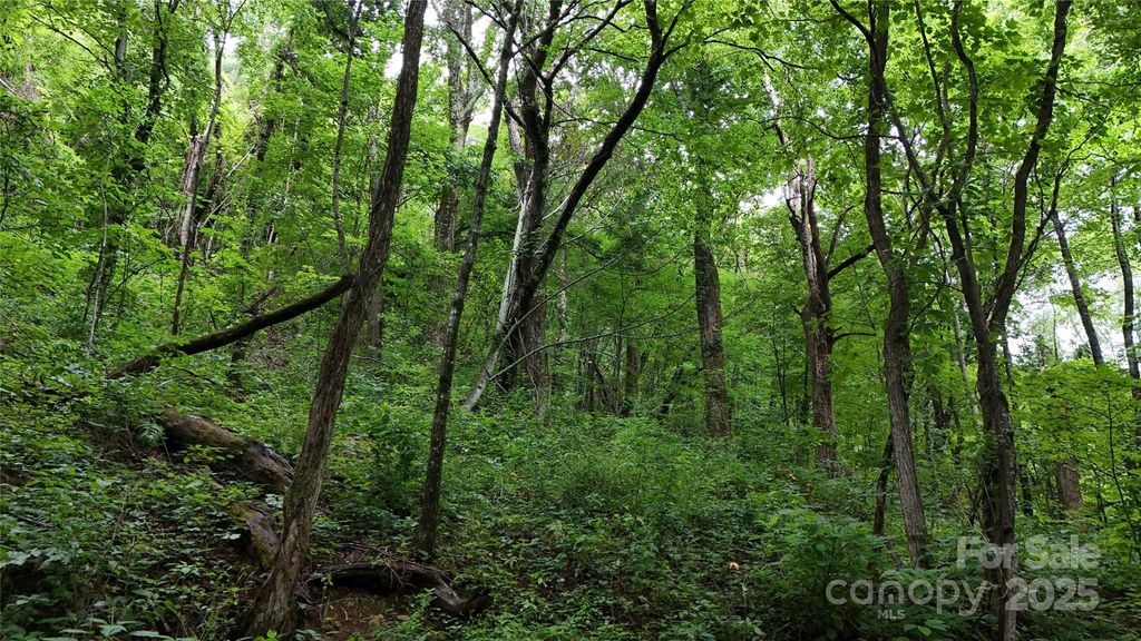 00 Killdevil Hill Lane 9 & 10, Bat Cave, NC 28792