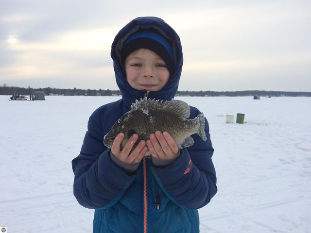 3690 County Road 571, Kalkaska, MI 49646