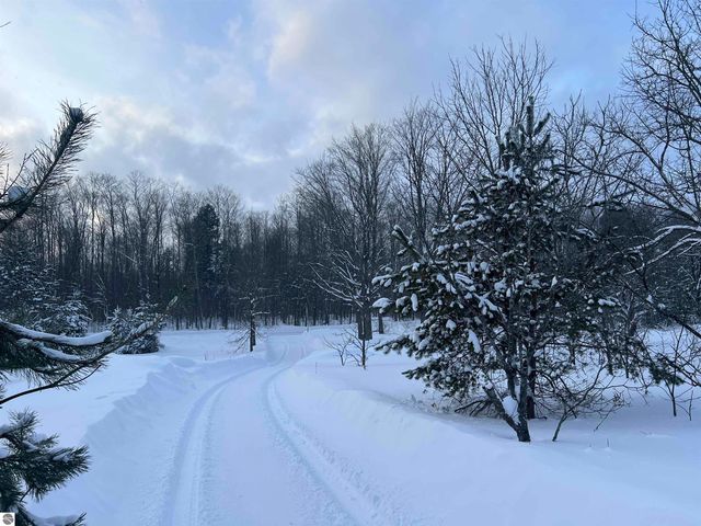 3690 County Road 571, Kalkaska, MI 49646