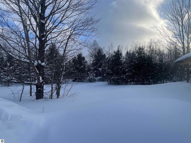 3690 County Road 571, Kalkaska, MI 49646