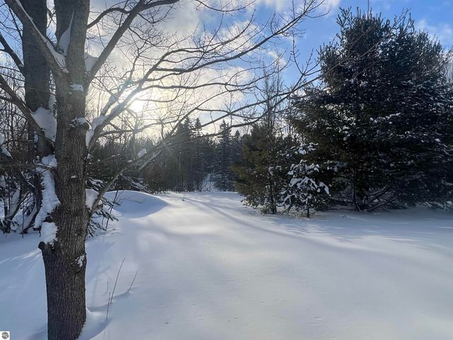 3690 County Road 571, Kalkaska, MI 49646