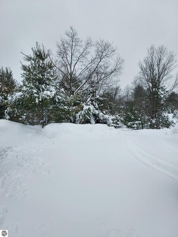 3690 County Road 571, Kalkaska, MI 49646