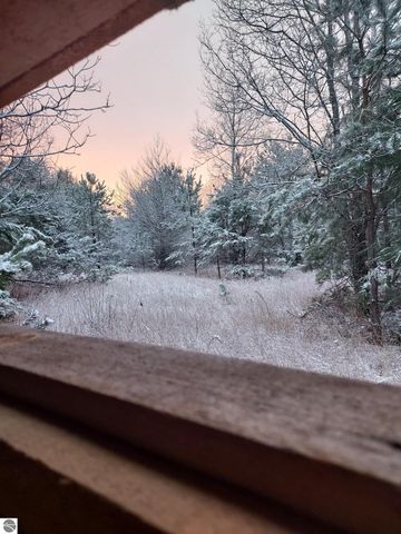 3690 County Road 571, Kalkaska, MI 49646