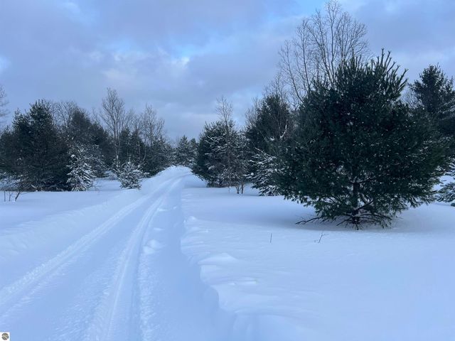 3690 County Road 571, Kalkaska, MI 49646