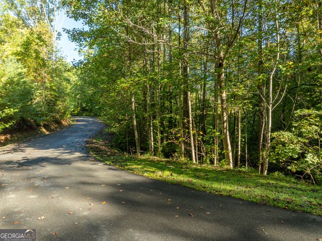 LOT 18 Wilderness Way, Ellijay, GA 30536