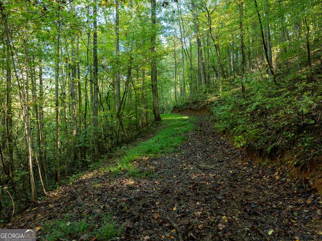 LOT 18 Wilderness Way, Ellijay, GA 30536
