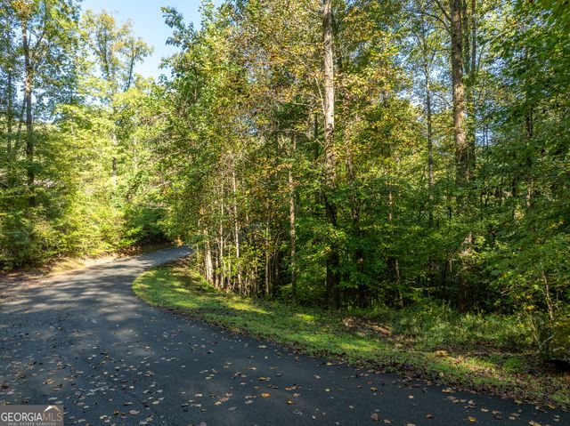 LOT 18 Wilderness Way, Ellijay, GA 30536