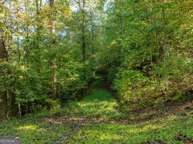 LOT 18 Wilderness Way, Ellijay, GA 30536