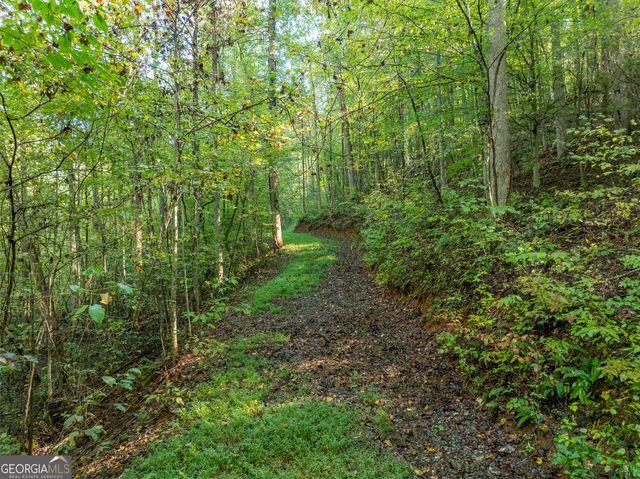 LOT 18 Wilderness Way, Ellijay, GA 30536