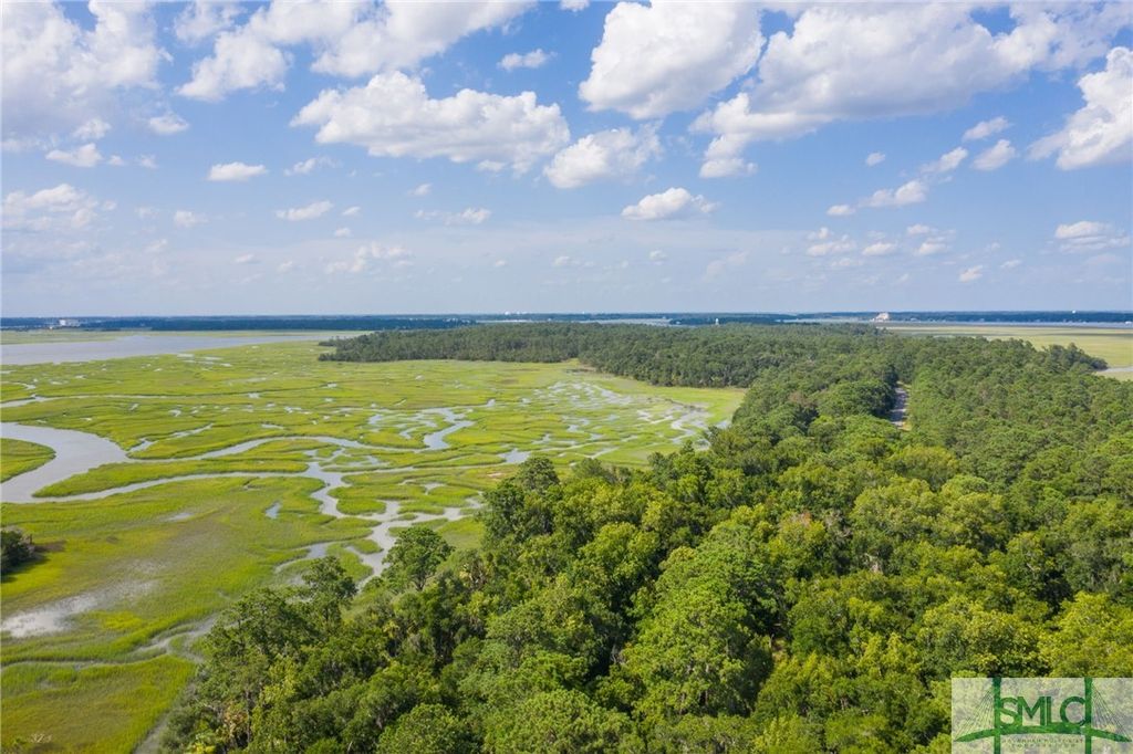 Image 1 of property listing at 41 Gray Heron Retreat, Savannah, GA 31411