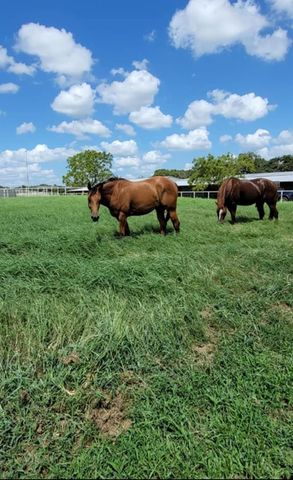 126 abel LN, Elgin, TX 78621