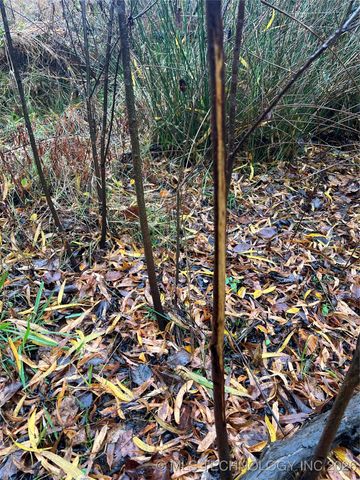 10868 SW Gowen, Hartshorne, OK 74547