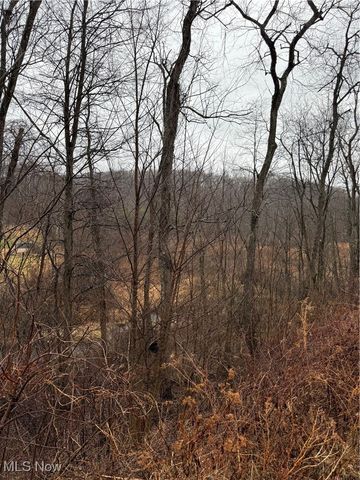 2492 Irish Ridge Road, East Liverpool, OH 43920