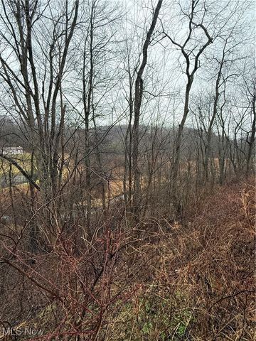 2492 Irish Ridge Road, East Liverpool, OH 43920