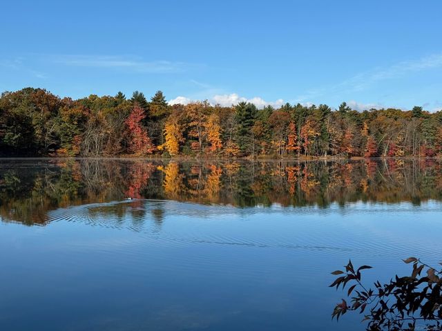 6266 10th Street, Twin Lake, MI 49457