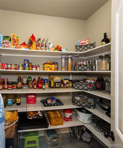 1011 Pine Creek Drive, Wentzville, MO 63385