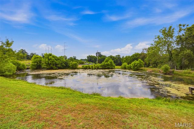 3245 Cedar Falls Road, Bonne Terre, MO 63628