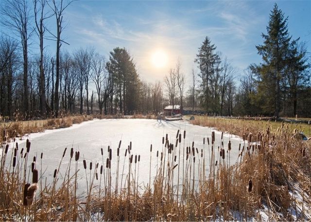 11180 Whitewood Drive, Newbury, OH 44065