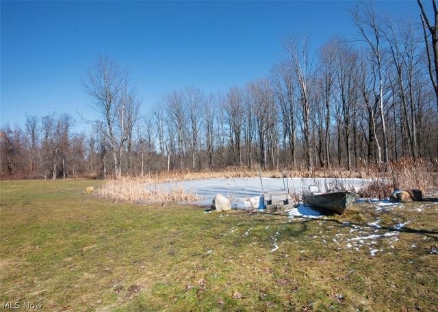 11180 Whitewood Drive, Newbury, OH 44065