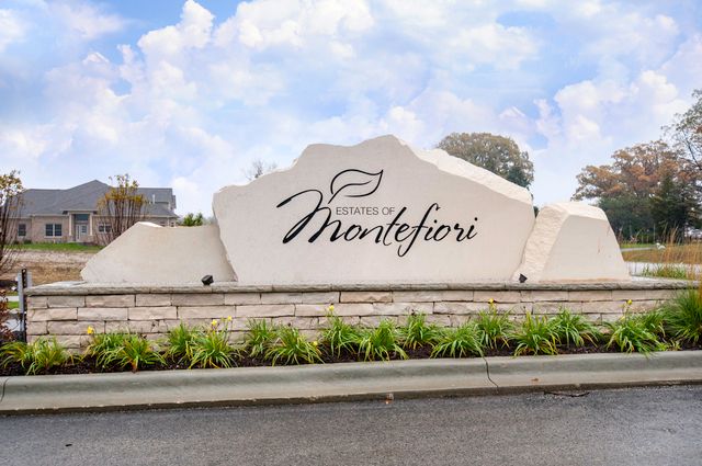 11289 Tuscany Lane, Lemont, IL 60439