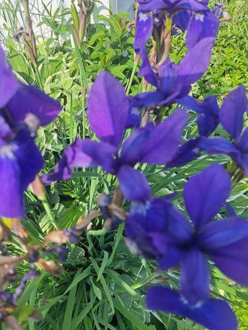 308 Adams STREET, Fort Atkinson, WI 53538