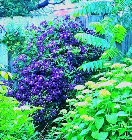 308 Adams STREET, Fort Atkinson, WI 53538