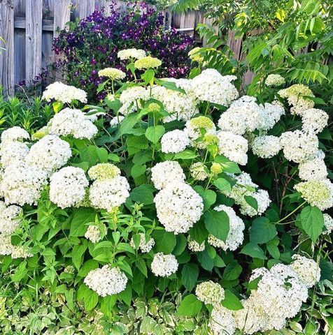 308 Adams STREET, Fort Atkinson, WI 53538