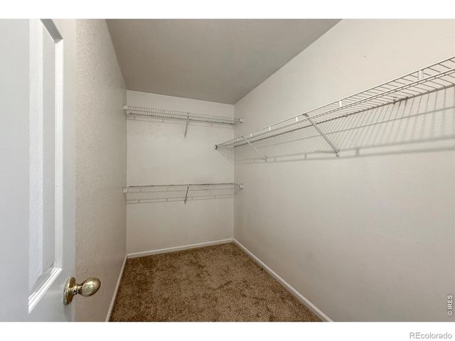 3513 Gunbarrel Court, Evans, CO 80620