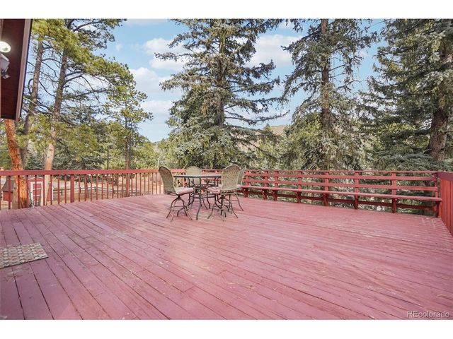 9025 Picabo Rd, Cascade, CO 80809