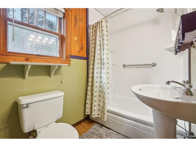 9025 Picabo Rd, Cascade, CO 80809