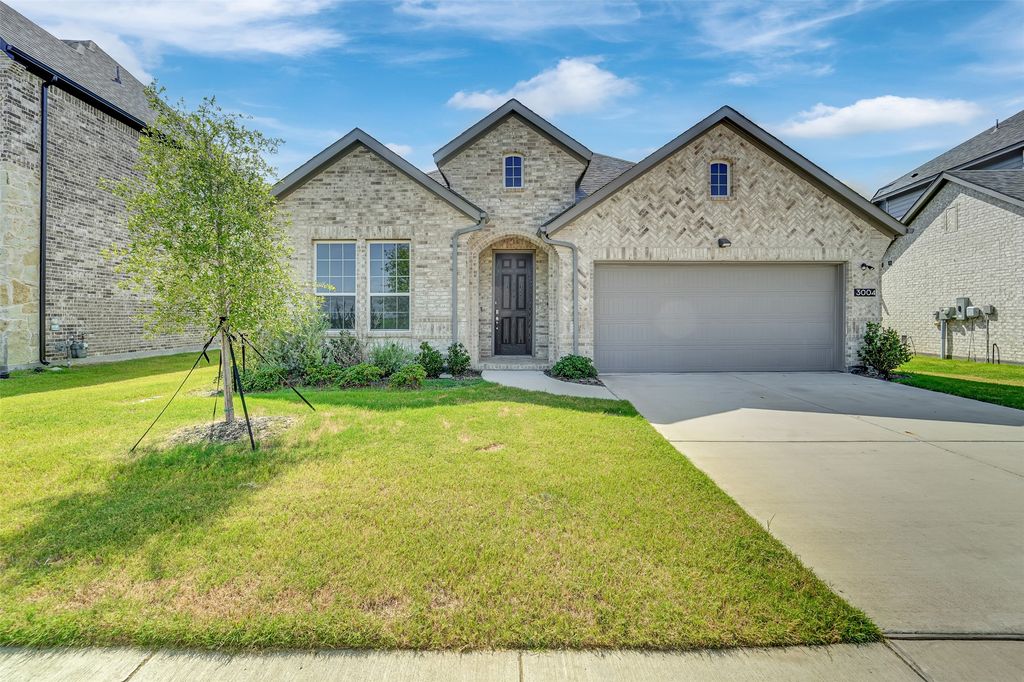 3004 Cremini Falls, Princeton, TX 75407