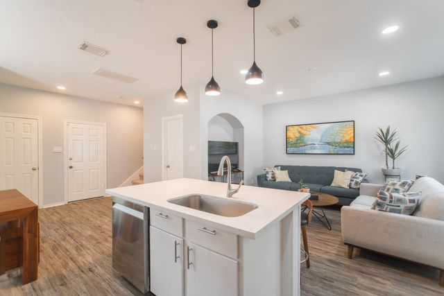 262 Liriope Court, The Woodlands, TX 77384