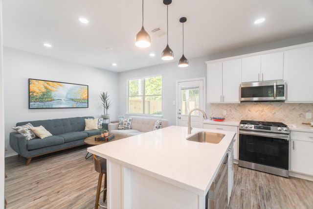 262 Liriope Court, The Woodlands, TX 77384