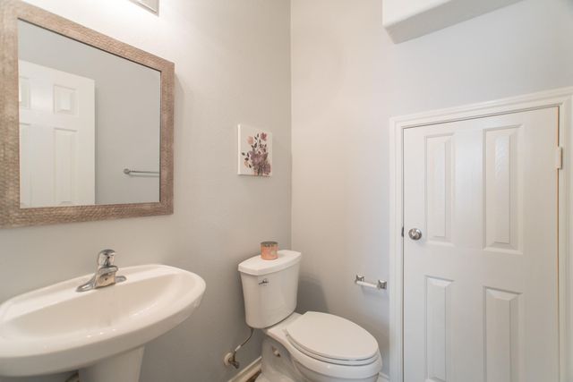262 Liriope Court, The Woodlands, TX 77384