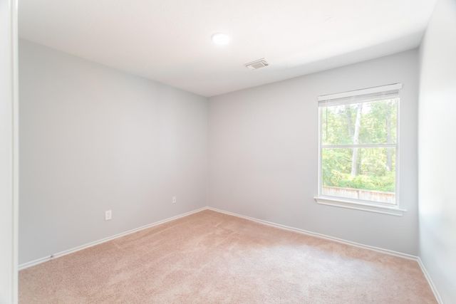 262 Liriope Court, The Woodlands, TX 77384