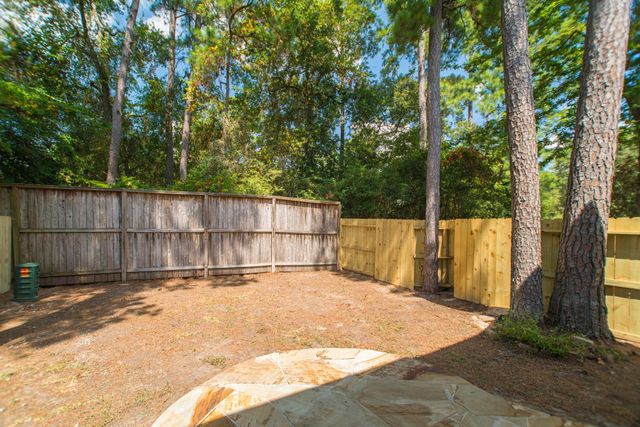 262 Liriope Court, The Woodlands, TX 77384