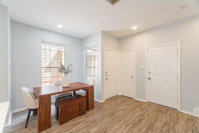 262 Liriope Court, The Woodlands, TX 77384