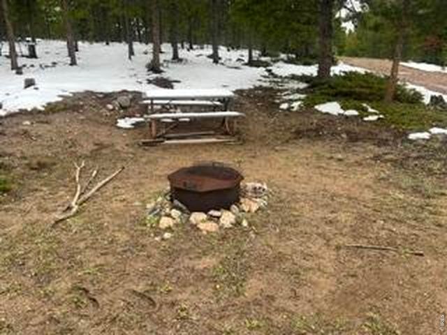 321 Shasta Way, Red Feather Lakes, CO 80545