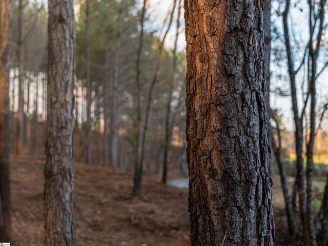 01 Concord Church Road, Pickens, SC 29671