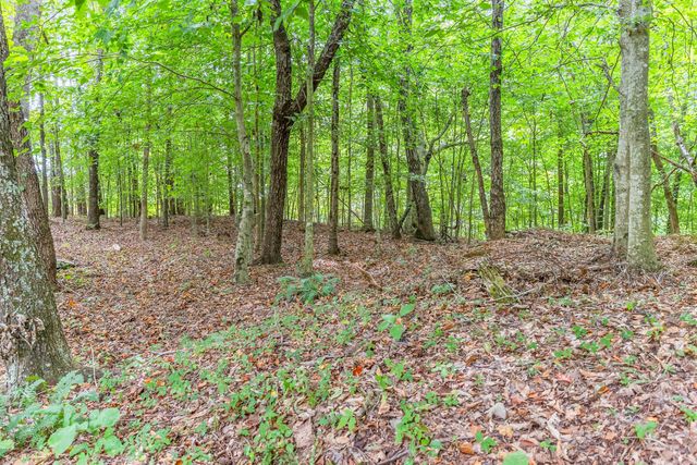 20 Fawn Run Road, Nancy, KY 42544