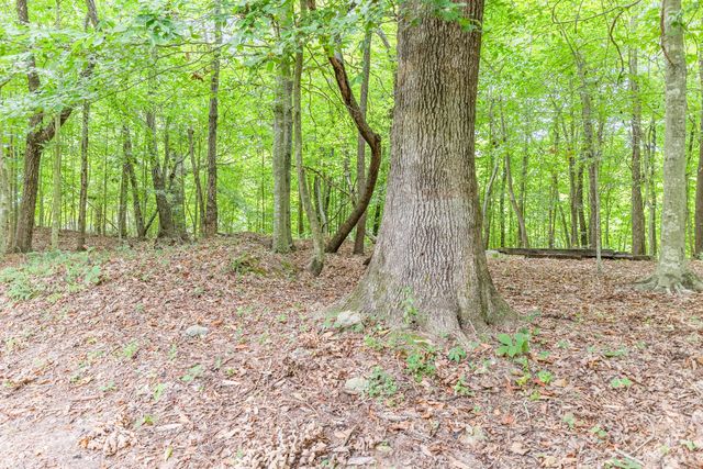 20 Fawn Run Road, Nancy, KY 42544