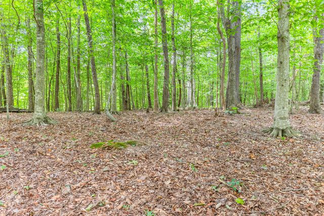 20 Fawn Run Road, Nancy, KY 42544