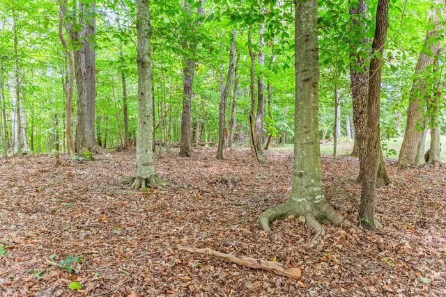 20 Fawn Run Road, Nancy, KY 42544